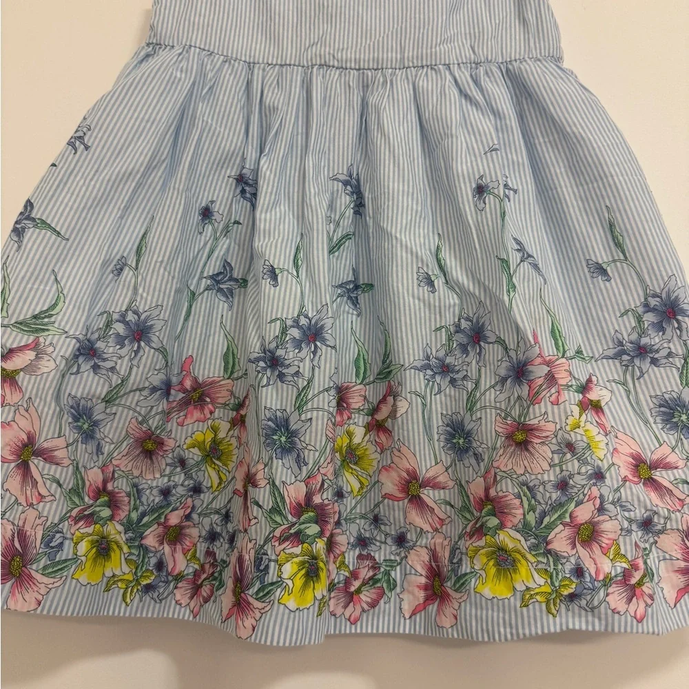 GAP Blue Striped Dress with Pink & Yellow Floral Border